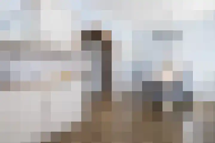 Prins Hendrikstraat 19 Ooltgensplaat thumbnail 10