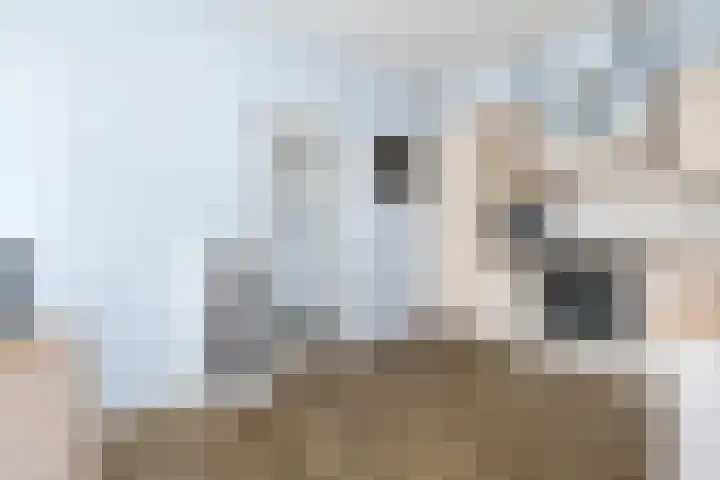 Prins Hendrikstraat 19 Ooltgensplaat thumbnail 11