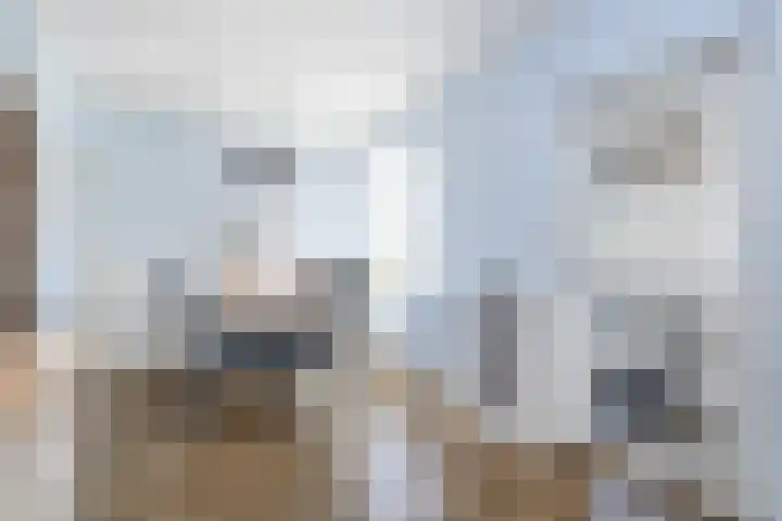 Prins Hendrikstraat 19 Ooltgensplaat thumbnail 12
