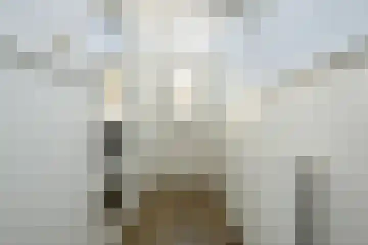 Prins Hendrikstraat 19 Ooltgensplaat thumbnail 6