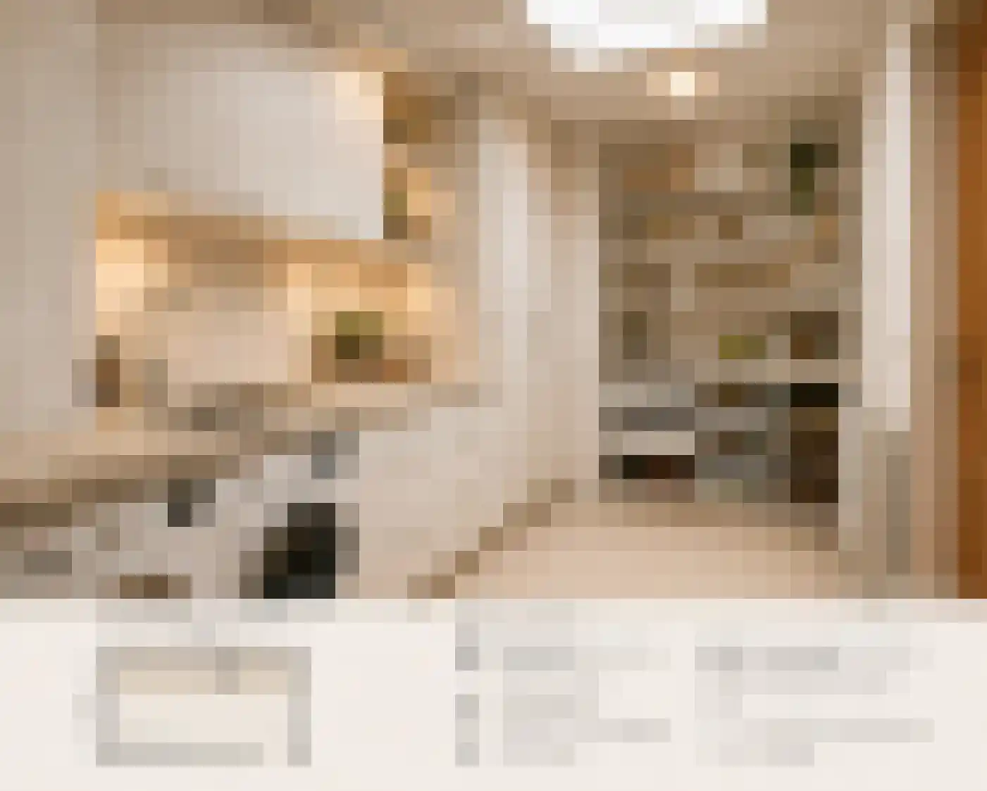 Prins Hendrikstraat 2 A Eijsden thumbnail 13