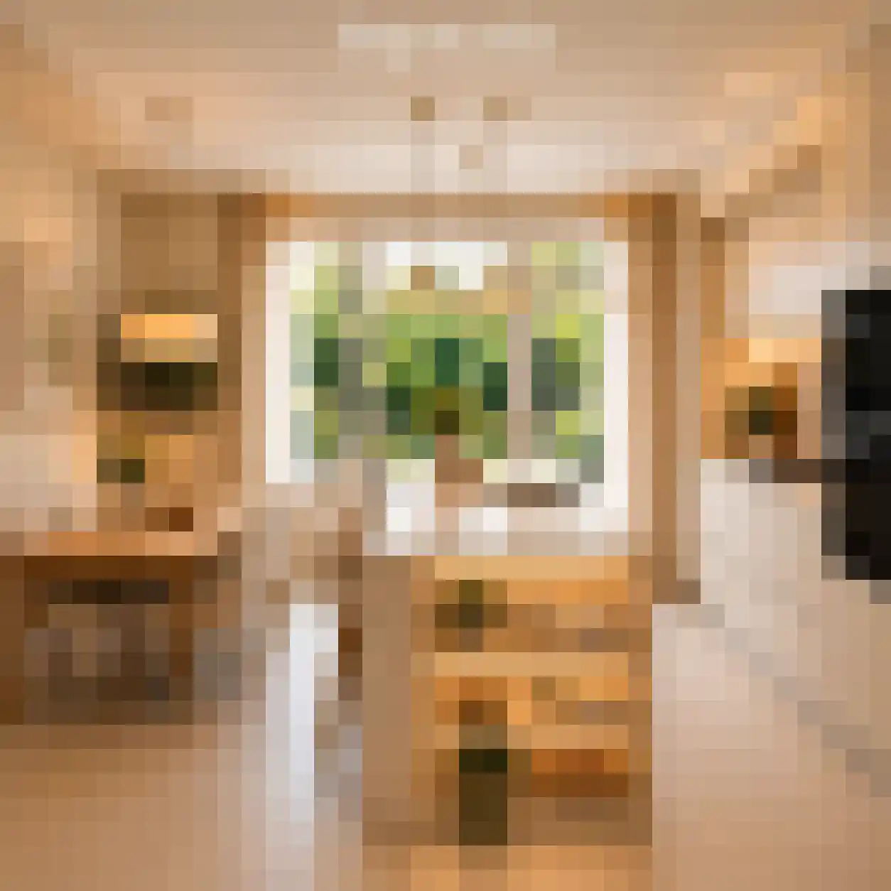 Prins Hendrikstraat 2 A Eijsden thumbnail 18