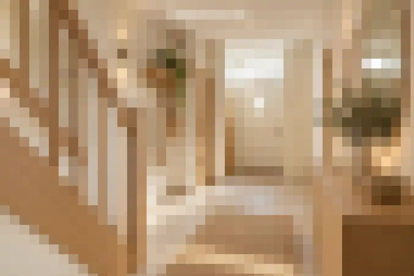 Prins Hendrikstraat 2 A Eijsden thumbnail 8