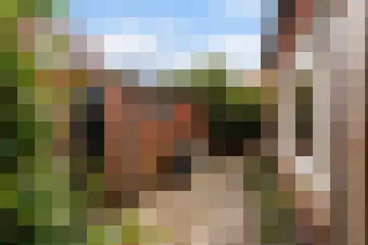 Prins Hendrikstraat 2 a Nijverdal thumbnail 23