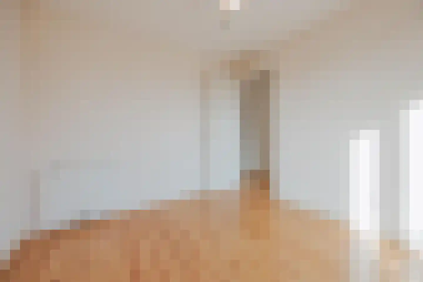 Prins Hendrikstraat 2 b Raamsdonksveer thumbnail 24