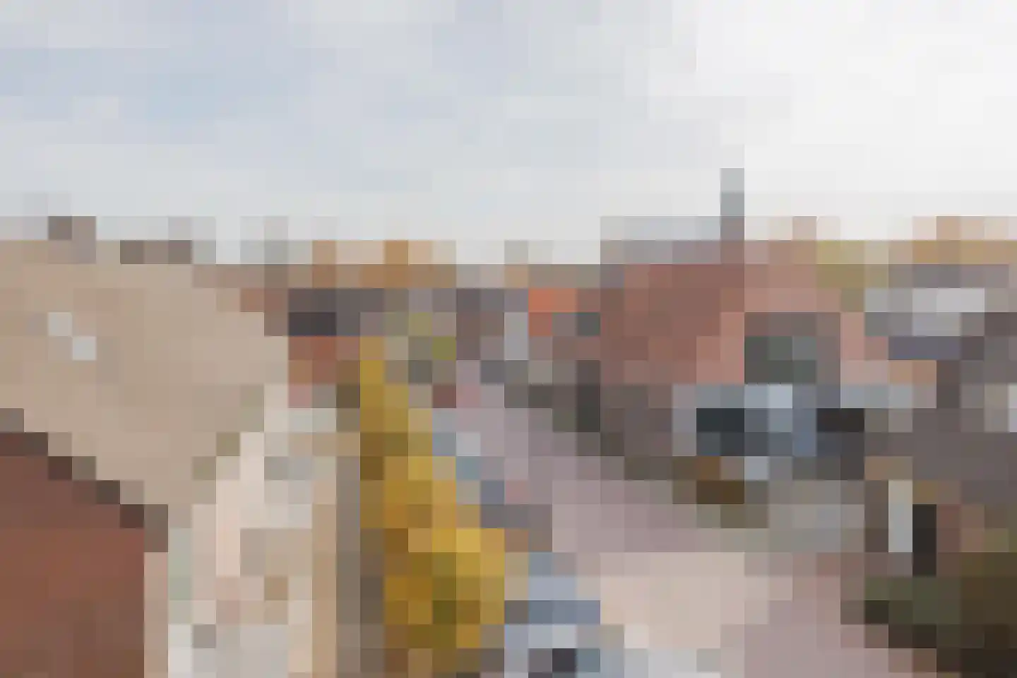 Prins Hendrikstraat 2 b Raamsdonksveer thumbnail 7
