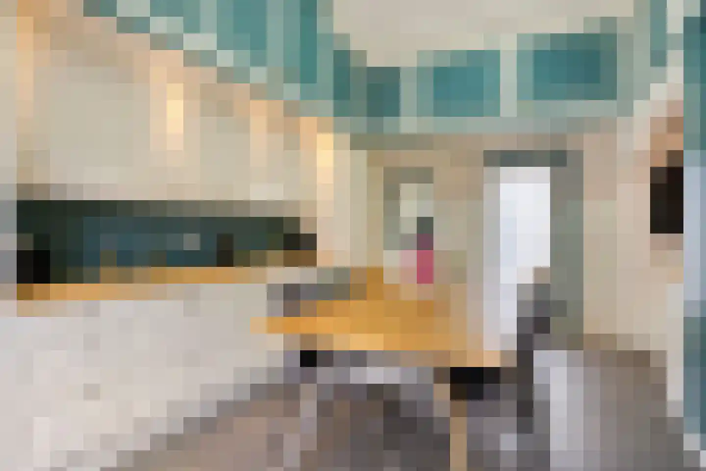 Prins Hendrikstraat 2 's-Heerenhoek thumbnail 22