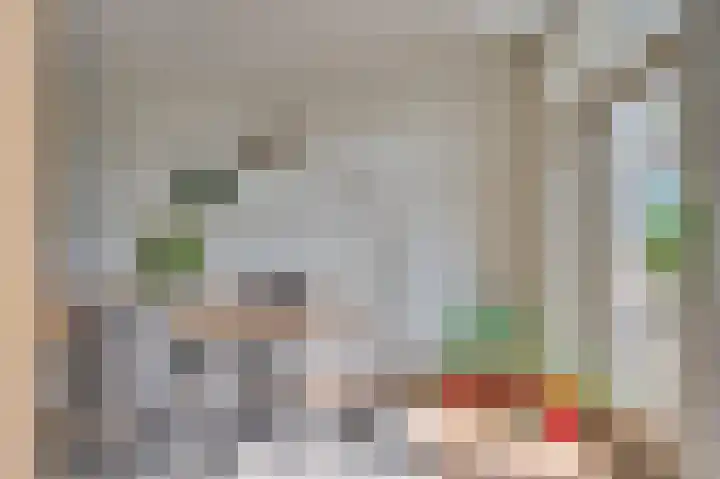 Prins Hendrikstraat 20 Belfeld thumbnail 20
