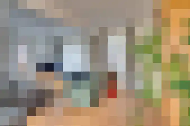 Prins Hendrikstraat 20 Belfeld thumbnail 8