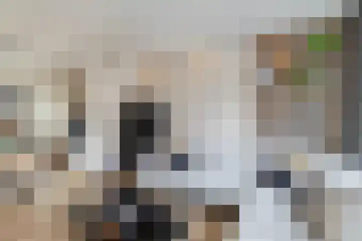 Prins Hendrikstraat 20 Krommenie thumbnail 15