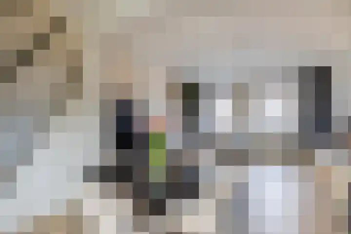 Prins Hendrikstraat 20 Krommenie thumbnail 17