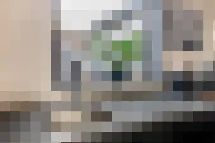 Prins Hendrikstraat 20 Krommenie thumbnail 20