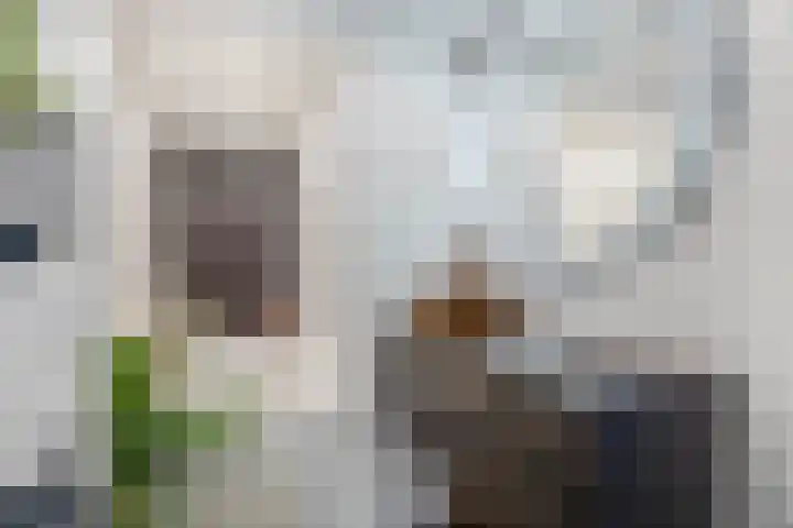 Prins Hendrikstraat 20 Krommenie thumbnail 36