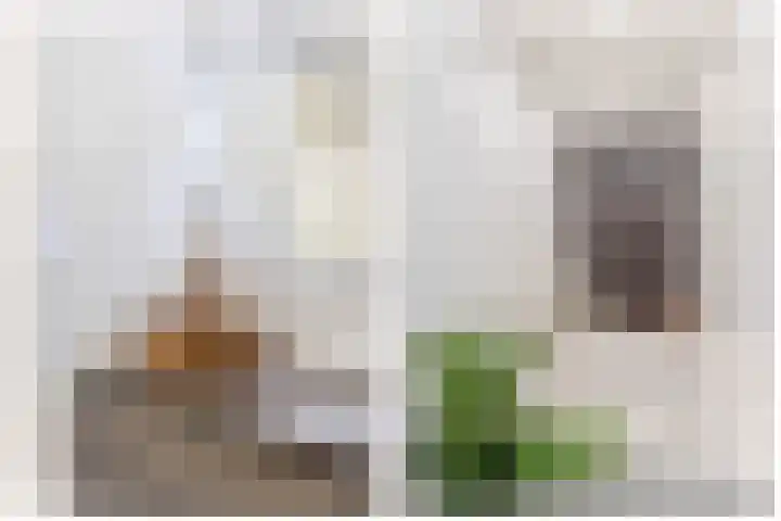 Prins Hendrikstraat 20 Krommenie thumbnail 37
