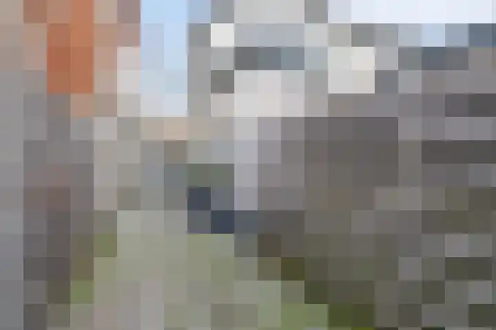Prins Hendrikstraat 20 Krommenie thumbnail 9
