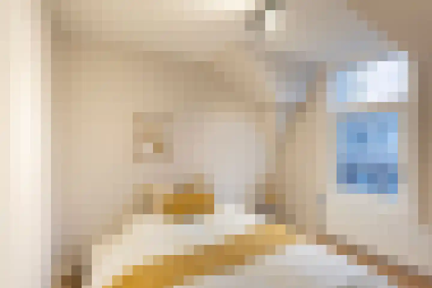 Prins Hendrikstraat 20 Vlaardingen thumbnail 26