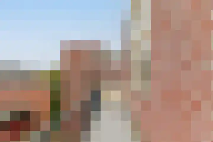 Prins Hendrikstraat 206 Alphen aan den Rijn thumbnail 8