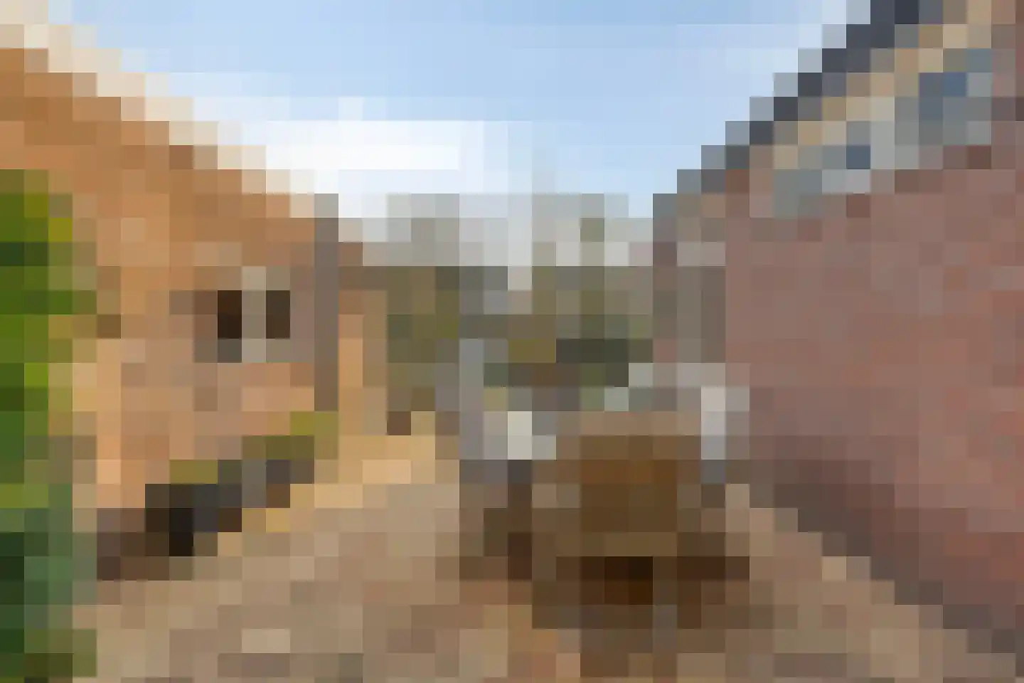 Prins Hendrikstraat 21 Drunen thumbnail 29