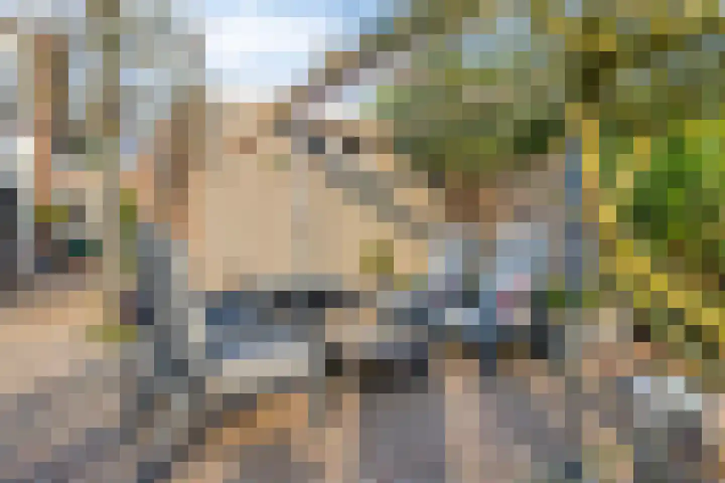 Prins Hendrikstraat 21 Drunen thumbnail 32