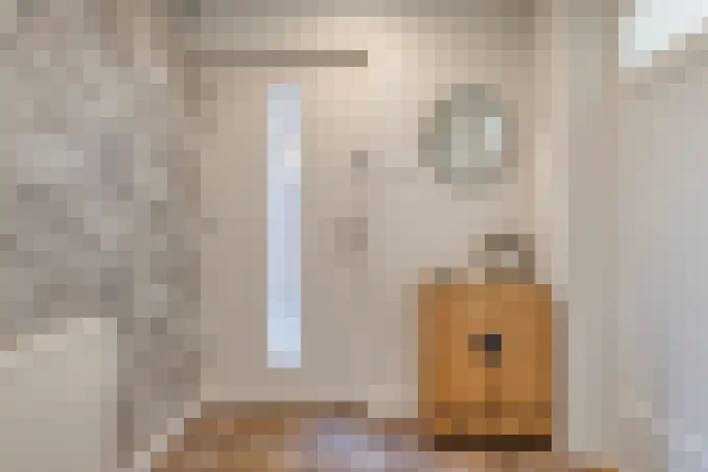 Prins Hendrikstraat 21 Drunen thumbnail 6