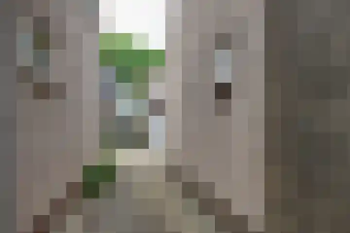 Prins Hendrikstraat 21 Ooltgensplaat thumbnail 31