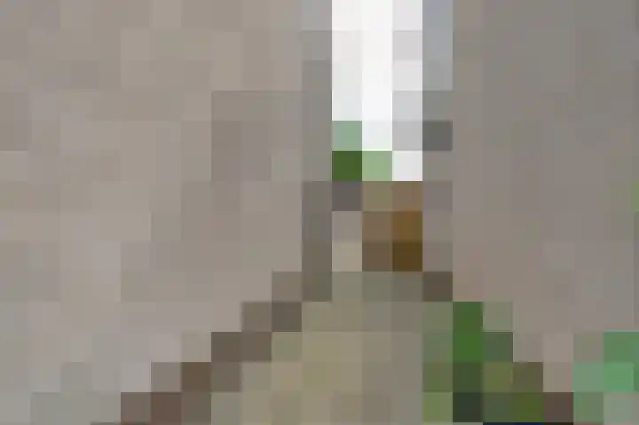 Prins Hendrikstraat 21 Ooltgensplaat thumbnail 32