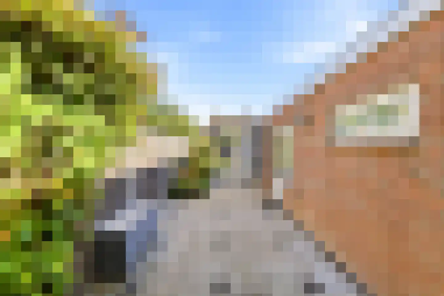 Prins Hendrikstraat 21 Oost-Souburg thumbnail 21