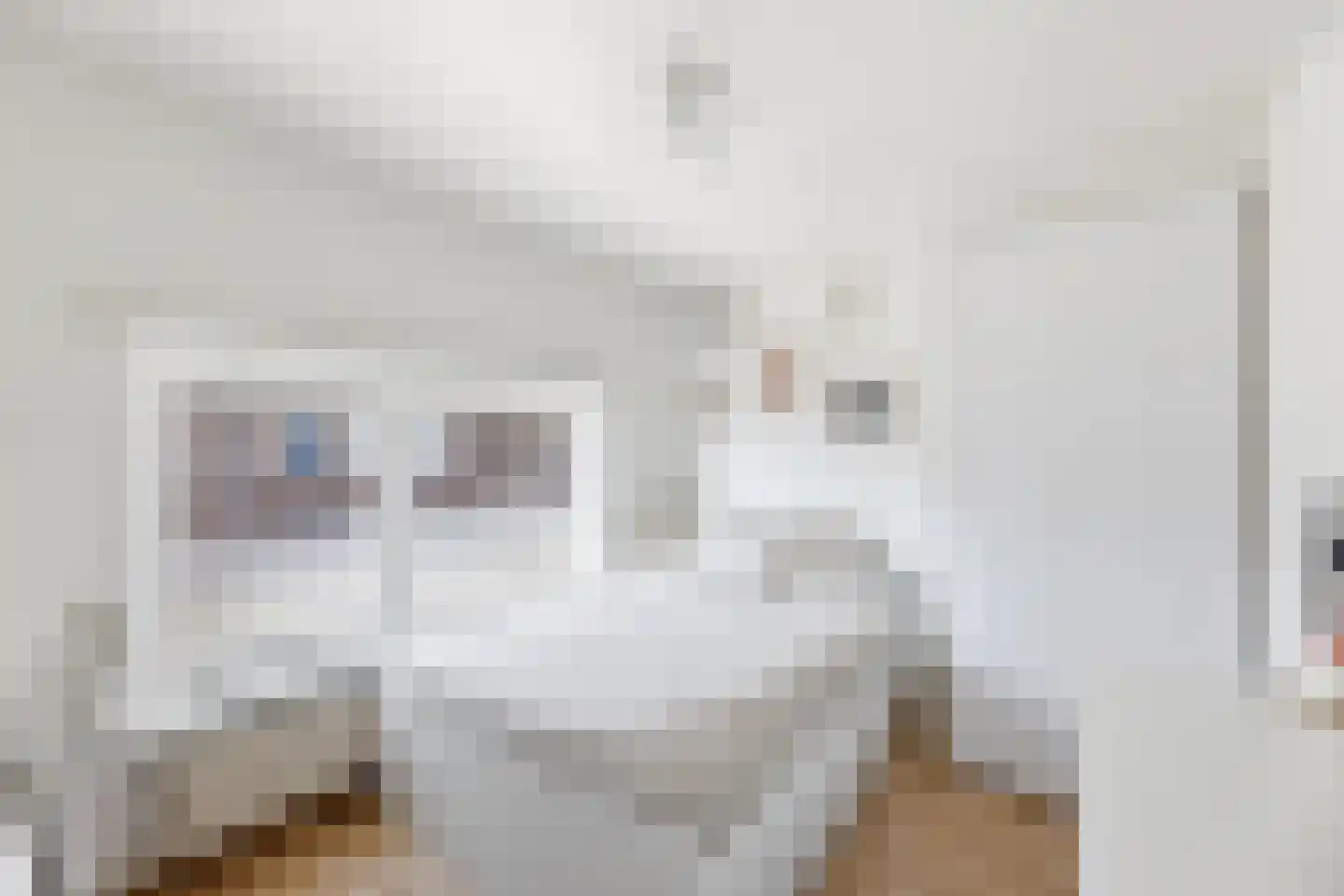 Prins Hendrikstraat 21 Oost-Souburg thumbnail 32