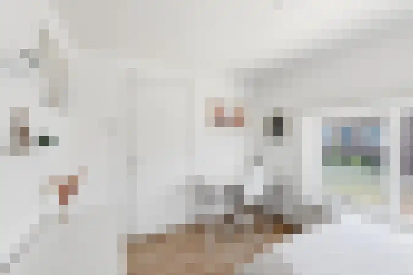 Prins Hendrikstraat 21 Oost-Souburg thumbnail 33
