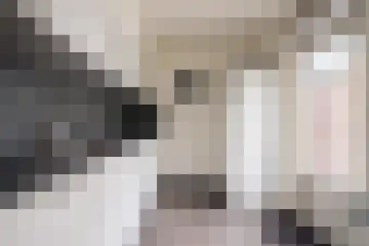 Prins Hendrikstraat 22 Belfeld thumbnail 12