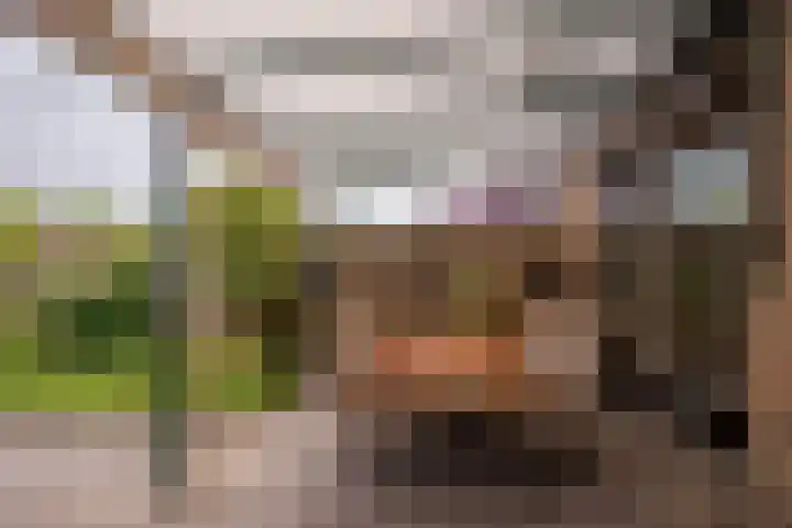 Prins Hendrikstraat 22 Belfeld thumbnail 28