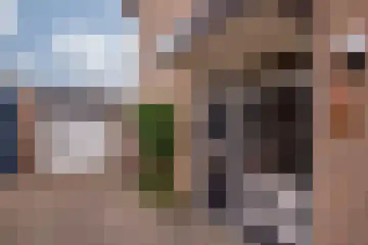 Prins Hendrikstraat 22 Belfeld thumbnail 36