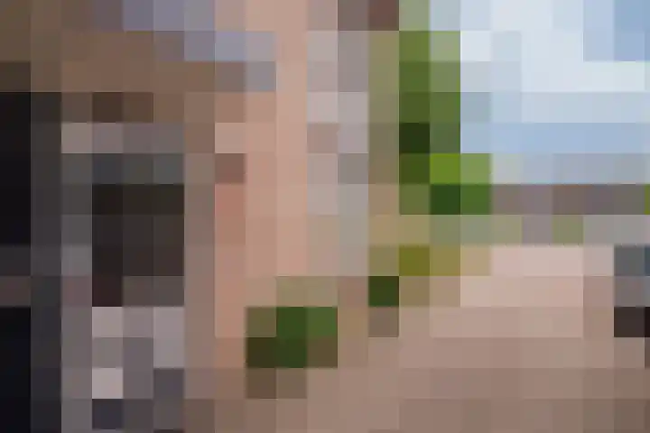 Prins Hendrikstraat 22 Belfeld thumbnail 39
