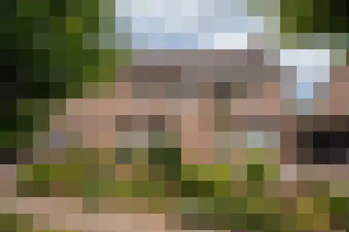Prins Hendrikstraat 22 Belfeld thumbnail 42