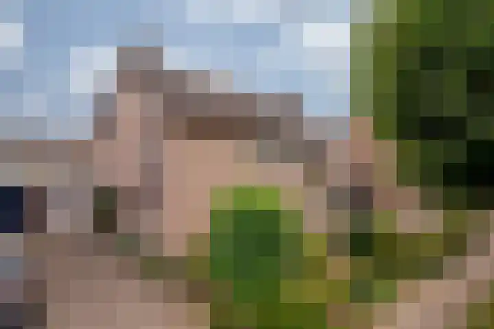 Prins Hendrikstraat 22 Belfeld thumbnail 47