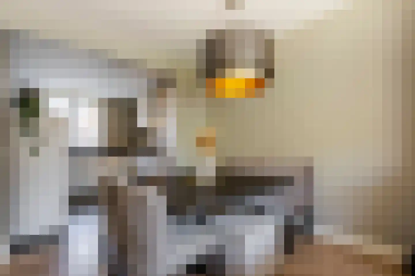 Prins Hendrikstraat 22 Sliedrecht thumbnail 5