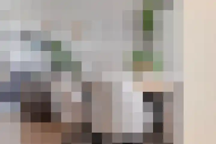 Prins Hendrikstraat 22 Strijen thumbnail 15