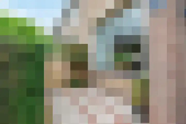 Prins Hendrikstraat 22 Strijen thumbnail 6
