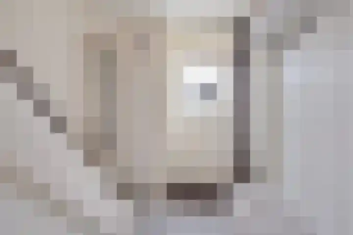 Prins Hendrikstraat 22 Strijen thumbnail 8