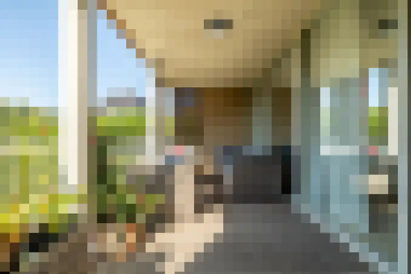 Prins Hendrikstraat 23 B17 Breda thumbnail 26