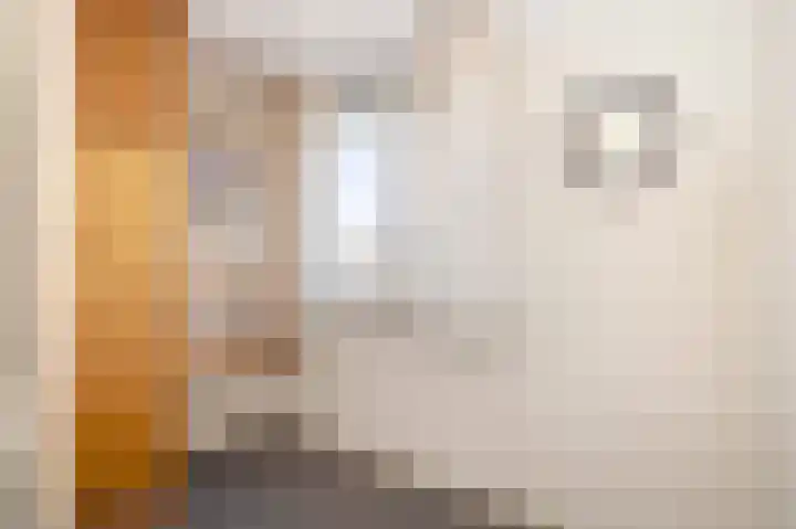 Prins Hendrikstraat 23 Grevenbicht thumbnail 33