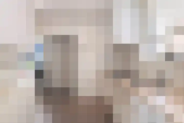 Prins Hendrikstraat 23 Grevenbicht thumbnail 4