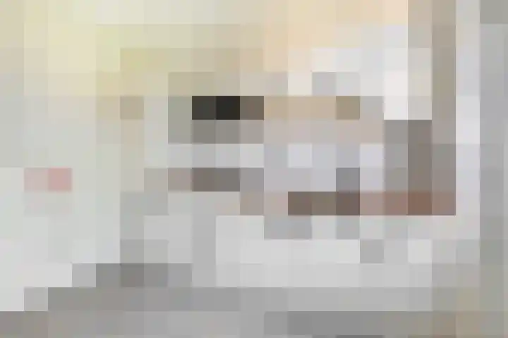 Prins Hendrikstraat 23 Schijndel thumbnail 7