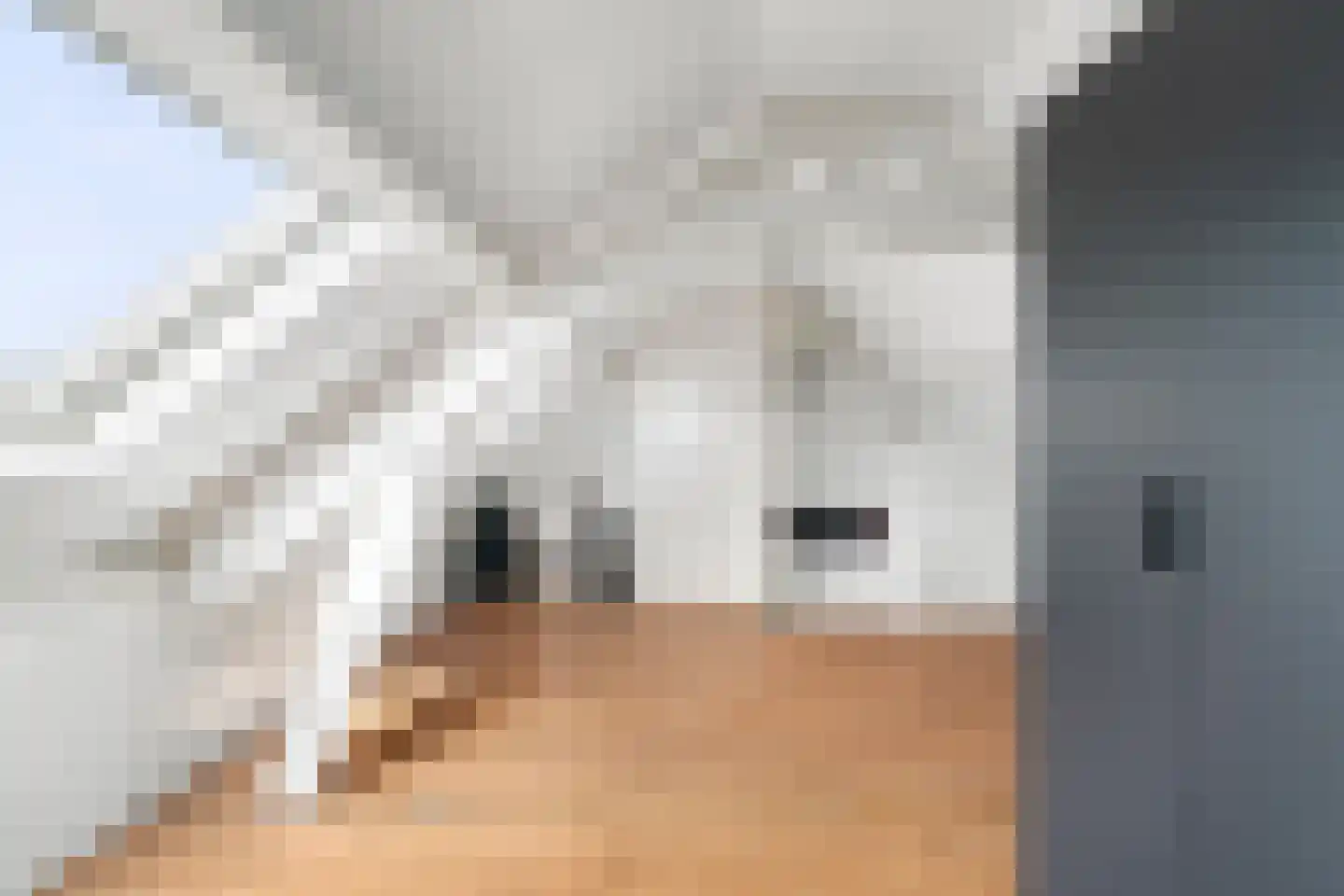 Prins Hendrikstraat 24 Grevenbicht thumbnail 24