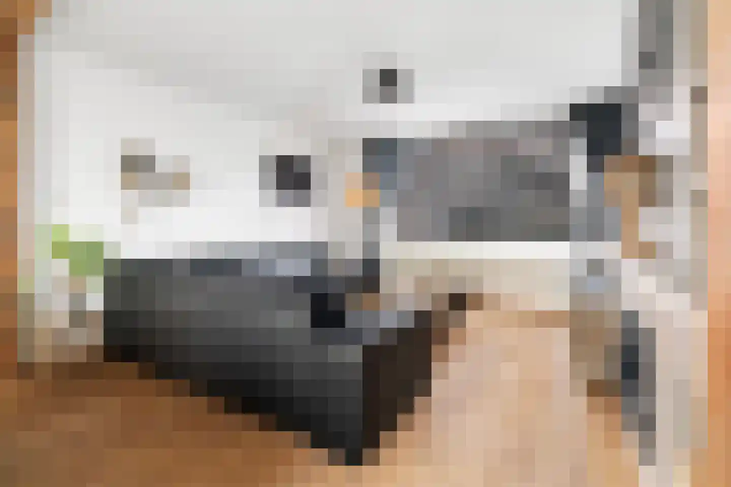 Prins Hendrikstraat 24 Grevenbicht thumbnail 6