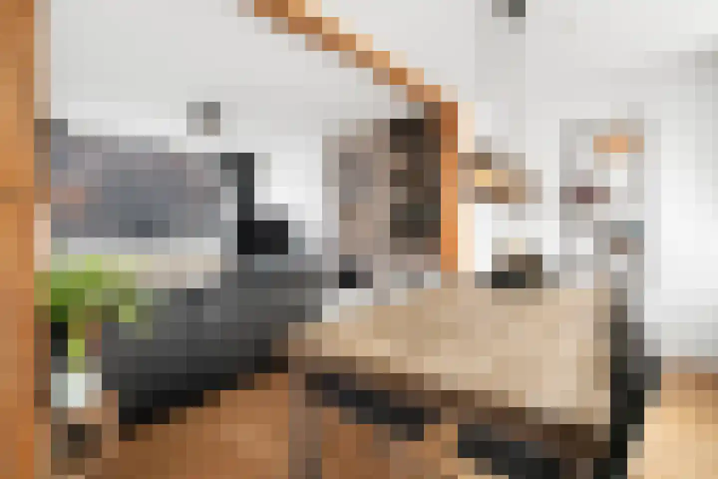 Prins Hendrikstraat 24 Grevenbicht thumbnail 8