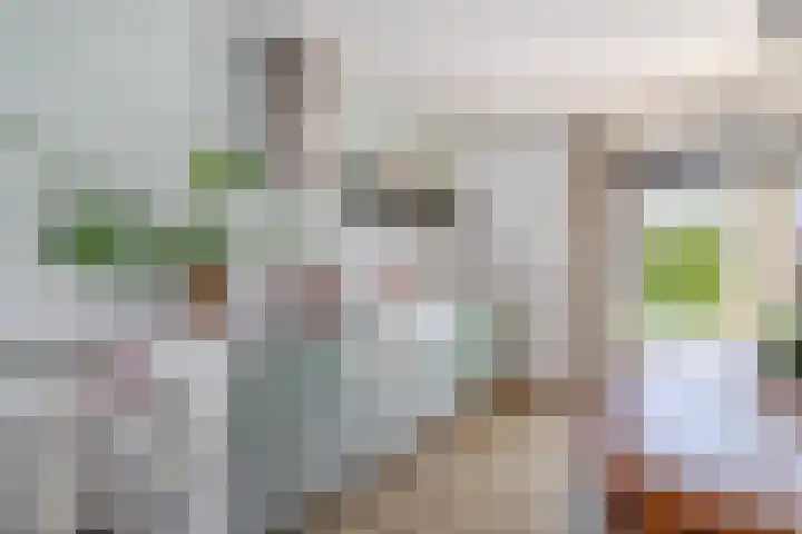 Prins Hendrikstraat 24 Krommenie thumbnail 14