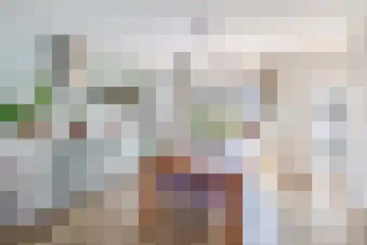 Prins Hendrikstraat 24 Krommenie thumbnail 15