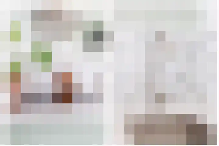 Prins Hendrikstraat 24 Krommenie thumbnail 17