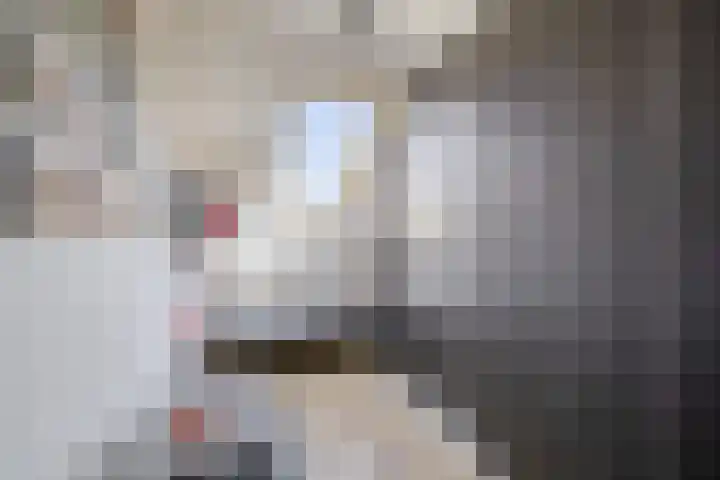 Prins Hendrikstraat 24 Krommenie thumbnail 30
